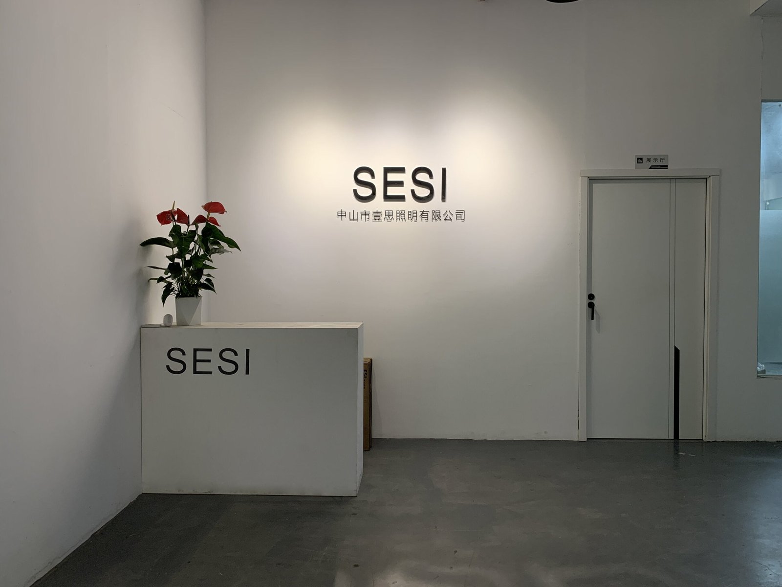 Sesi Lighting factory