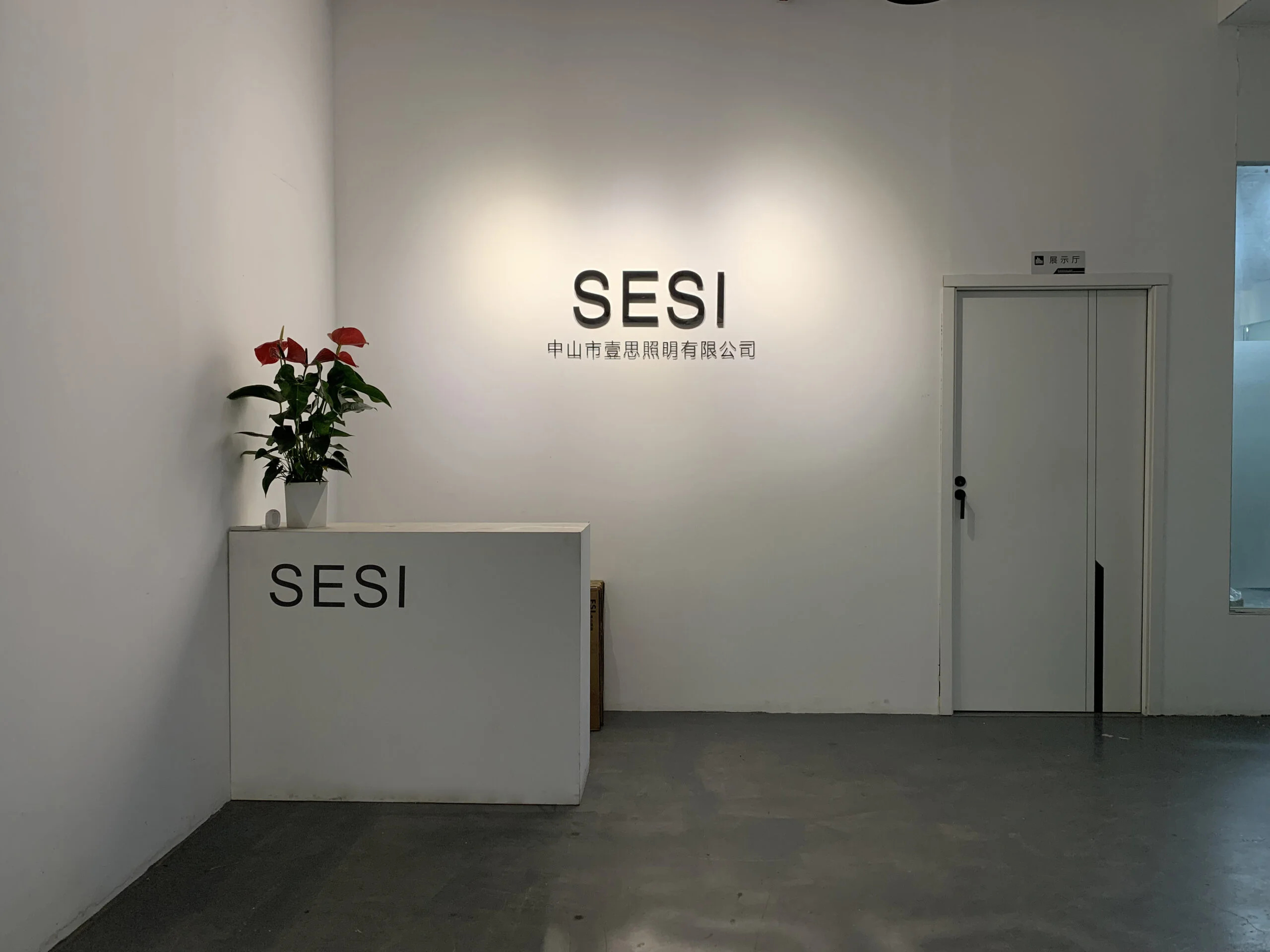 sesi Sesi Lighting factory